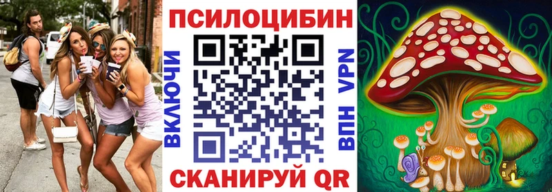 купить   Южно-Сахалинск  Псилоцибиновые грибы мицелий 