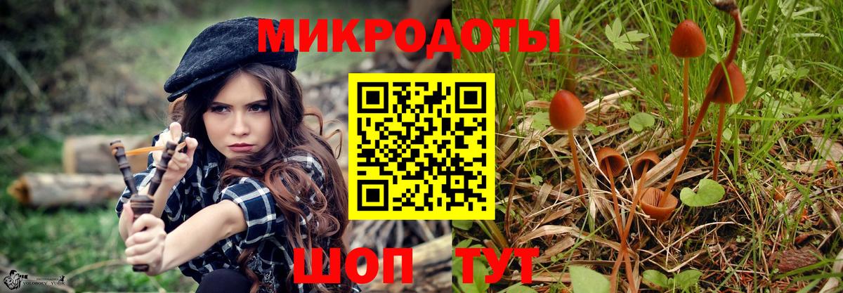 Псилоцибиновые грибы прущие грибы Южно-Сахалинск